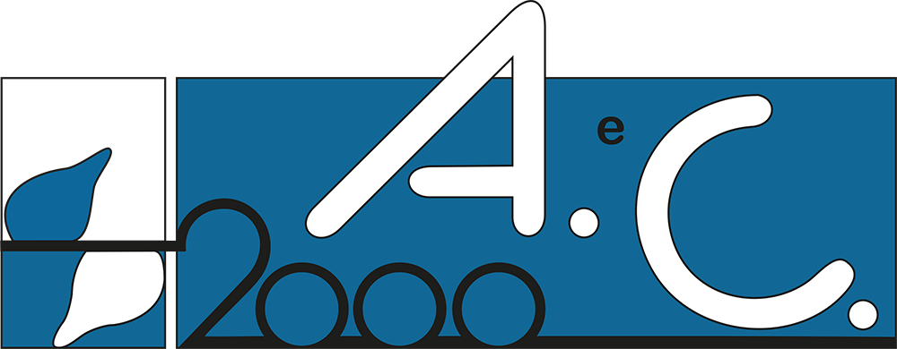 https://www.aec2000.com/wp-content/uploads/2022/05/AC-2000-Logo.webp
